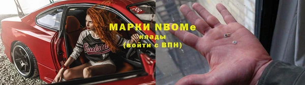 ГАЛЛЮЦИНОГЕННЫЕ ГРИБЫ Козловка