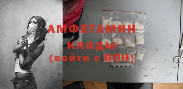 ГАЛЛЮЦИНОГЕННЫЕ ГРИБЫ Козловка