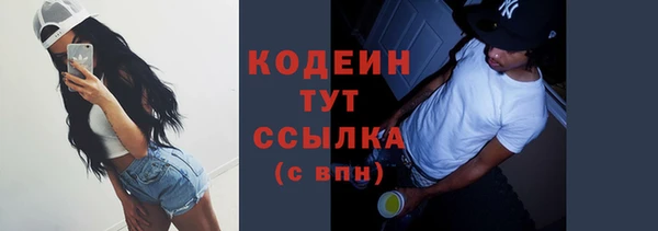 ГАЛЛЮЦИНОГЕННЫЕ ГРИБЫ Козловка