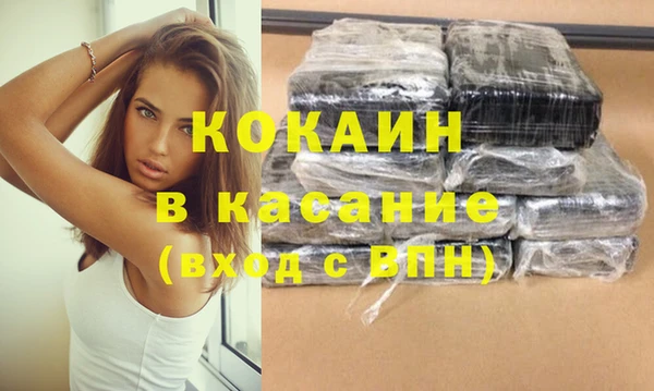 ГАЛЛЮЦИНОГЕННЫЕ ГРИБЫ Козловка