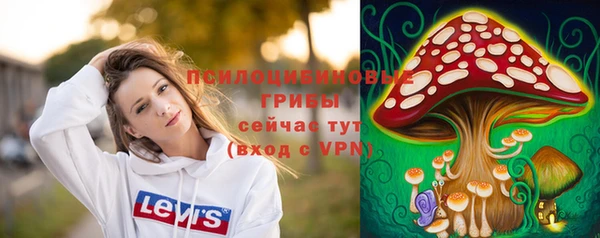 ALPHA PVP Козельск