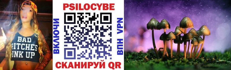 Купить  Суздаль  Галлюциногенные грибы мицелий 